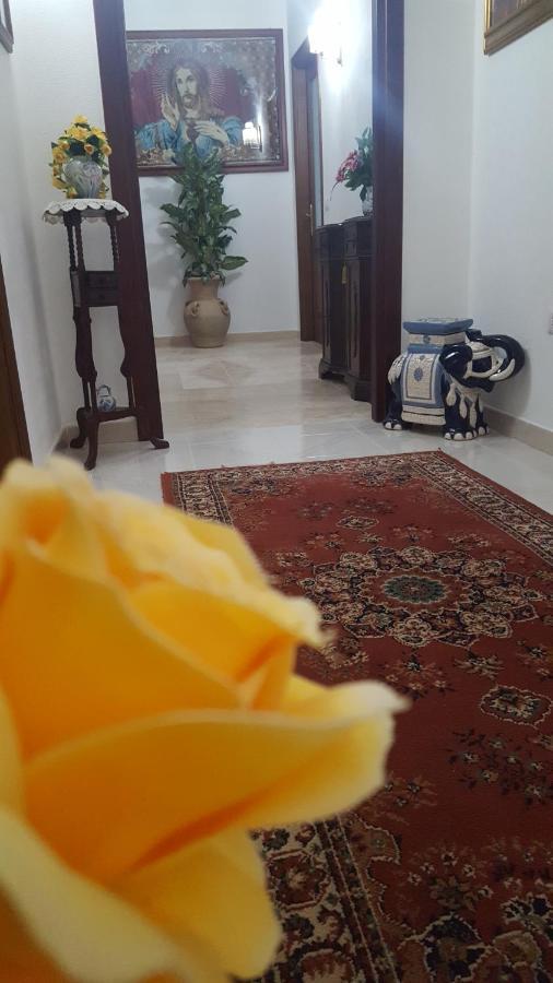 אולביה Zia Mia B&B מראה חיצוני תמונה